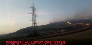 Incendiu de mari proporții în Băișoara – Zeci de hectare, distruse