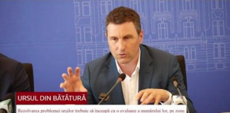 Ministrul Mediului: Am pierdut 5 ani valoroși în gestionarea problemei urșilor din România
