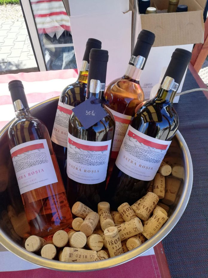 280141548_4992141037529477_2883290653039278281_n