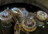 Salina Turda ar putea ajunge în patrimoniul mondial UNESCO – Autoritățile au început demersurile necesare