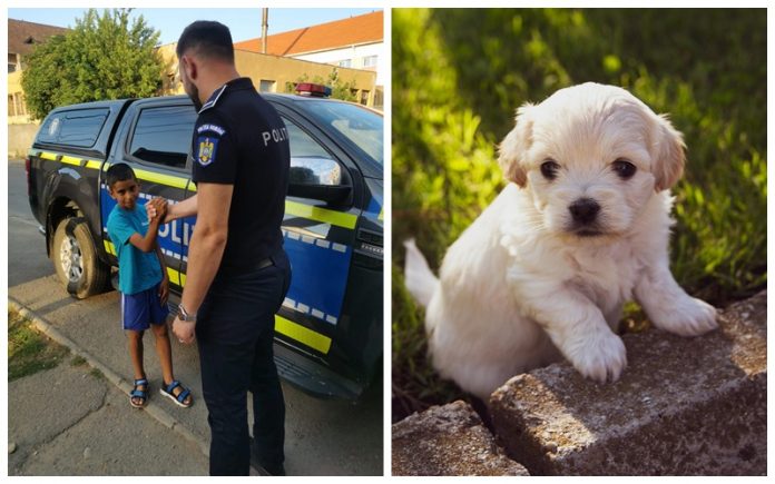 24e43bd44062210cee9119f3660f83f5