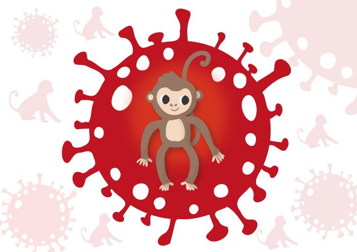 monkeypox-g34f288a22_1920