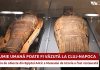 O mumie umană poate fi văzută la Cluj-Napoca – expoziție de obiecte din Egiptul Antic