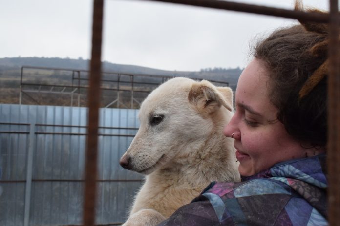 324564273_537693635047435_1228978543678376396_n