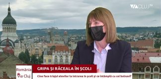 Scarlatină și streptococ în școlile clujene, pe lângă gripă și răceală – cine face triajul?