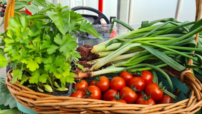 336904189_536361418582716_4923723770986320901_n