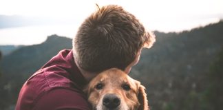 Campanie de sterilizare a câinilor, în Florești – Află ce pași trebuie îndepliniți