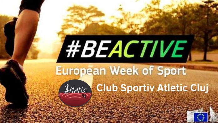 381059475_781316227333424_4377110586207770135_n