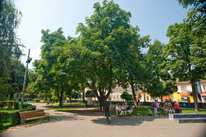 Parcul-Ion-Luca-Caragiale_Cluj-Napoca