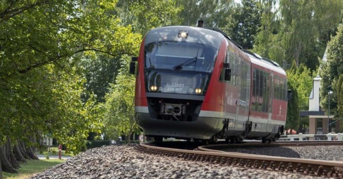 428604322_905782888000960_4055727327317363368_n