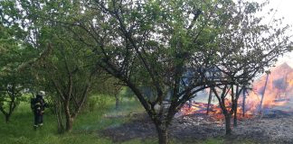 Incendiu la o cabană de lemn în Dâmbul Rotund