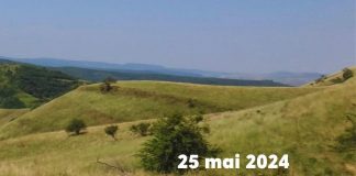 La ce activități poți participa în weekend-Află mai multe despre Tura Gârbăului