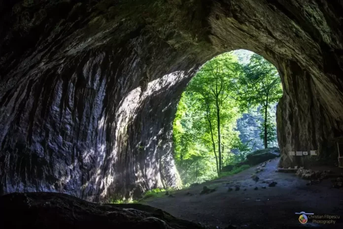 Peștera-Meziad09-1024x683