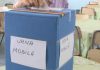Cea mai “activă” urnă mobilă din țară, la Cluj – Peste 500 voturi în urna volantă pâna la ora 14.30