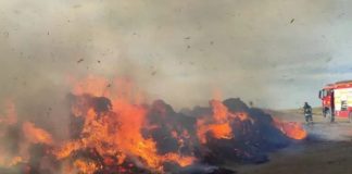 Cinci hectare de vegetație și o sută de baloți de paie au luat foc în județul Cluj