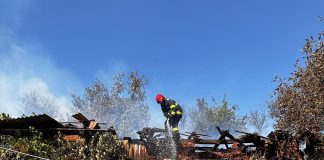 VIDEO Intervenție a pompierilor la un incendiu de vegetație uscată în Bobâlna