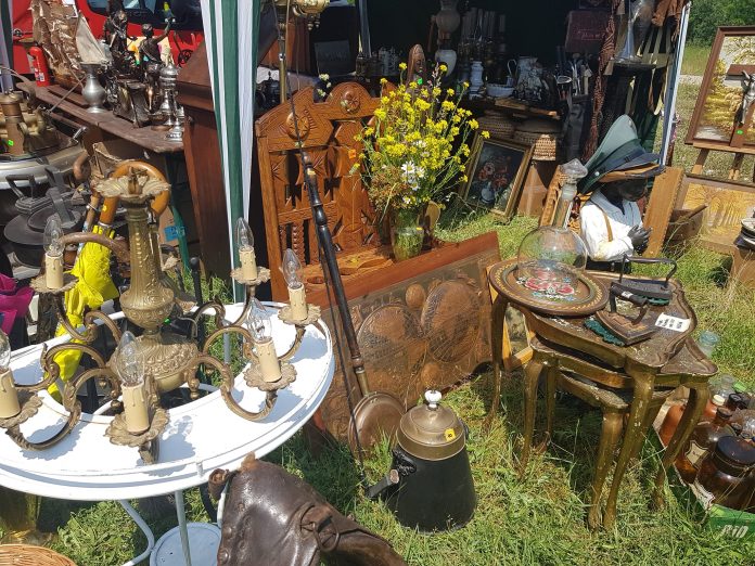 351010997_634091321683365_296024320398448116_n