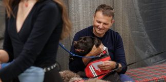 Aproape 4000 de clujeni au făcut 1 miliard de pași pentru o cauză nobilă