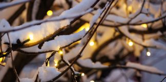 Sursa: Primăria Cluj-Napoca