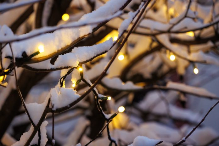 Sursa: Primăria Cluj-Napoca