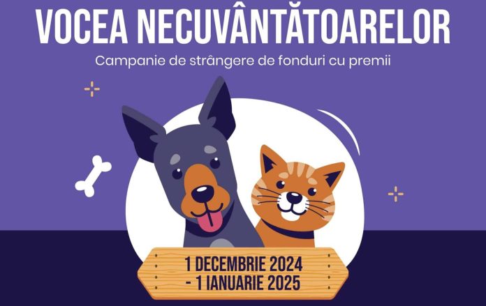 Animalute_Afis-scaled-1