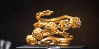 Un antreprenor olandez din România oferă 250 de mii de euro recompensă