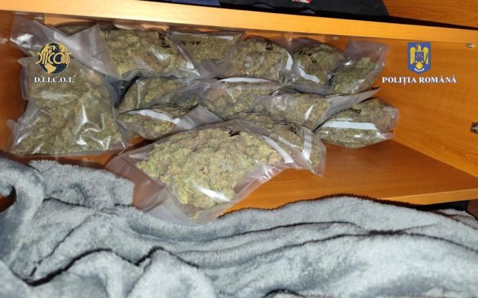 1_3_275520_1738829555_00773