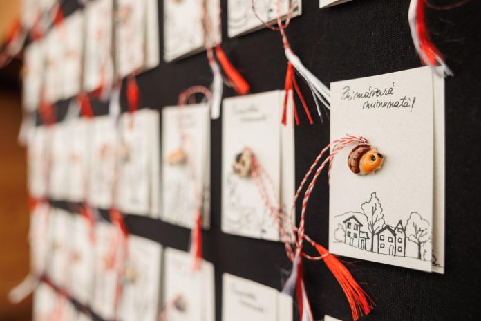 Primăria Cluj-Napoca