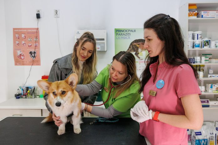 485719941_976643461315558_7334511152020266031_n