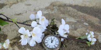 Când se schimbă ora în 2025 – Efectele trecerii la ora de vară asupra sănătății