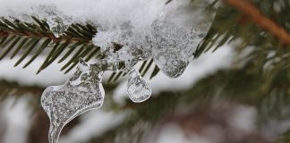 Vreme rece și vânt puternic la Cluj-Napoca