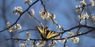 Vreme deosebit de caldă pentru această perioadă Pixabay