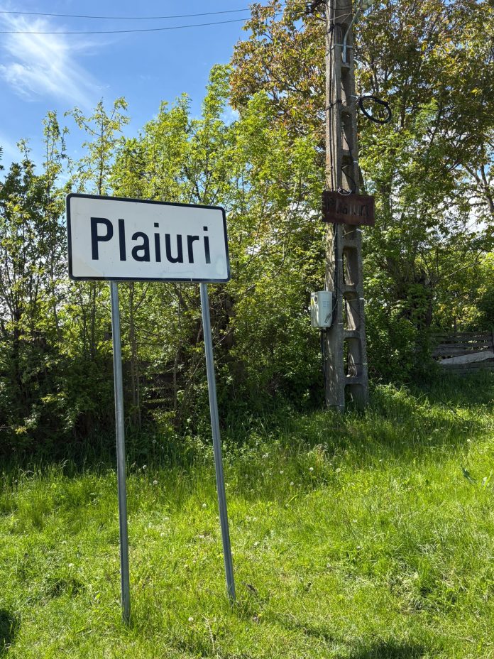 plaiuri