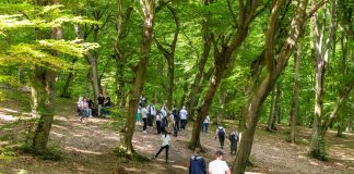 Ziua Mondială a Mediului, sărbătorită împreună cu studenții UTCN