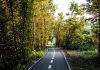 Noua pistă de biciclete din Baciu: traseu prin pădure și dealuri cu peisaje spectaculoase