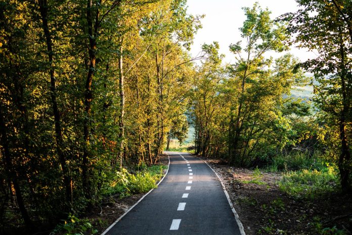 119082758f82fe828ddbbeaa1d74855b