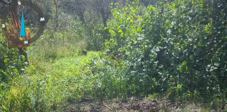 Incendiu pe o stradă din Cluj: Focul a țâșnit din pământ