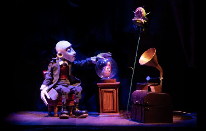 Dracula. despre cum am devenit monstru (2) min