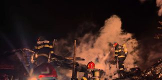Incendiu pe 60 de metri pătrați într-o gospodărie din Apahida – Un porc a fost ucis de flăcări
