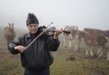 Descoperă patrimoniul viu al Clujului: Traseul „Poteci cu Povești – Aluniș” a fost deschis publicului