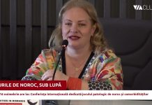 Dependența de jocurile de noroc, sub lupa cercetătorilor și clinicienilor, la Cluj-Napoca