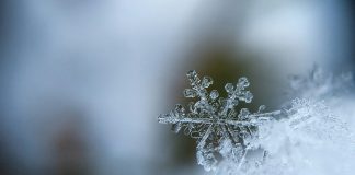 Vreme rece și ninsoare slabă la Cluj-Napoca pe 28 decembrie 2025