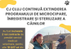 Consiliul Județean Cluj extinde programul de microcipare și sterilizare a câinilor în 19 localități