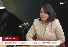 Emoția dintr-o fotografie: Ce vezi dacă mergi la expoziția Rădăcini