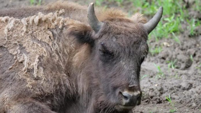 640175961_26420465264213095_2741491409588319507_n