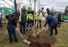 Acțiuni de împădurire: Livezi urbane în Iris și Someșeni proiectul URBREATH