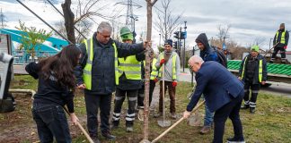 Acțiuni de împădurire: Livezi urbane în Iris și Someșeni proiectul URBREATH