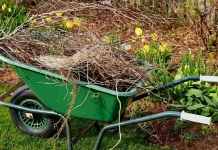 Campanie colectare deșeuri vegetale Cluj-Napoca 2026: program, reguli și locații