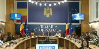 Podul Garibaldi va fi dărâmat și reconstruit, într-un proiect de 8 milioane de euro – vezi cum va arăta