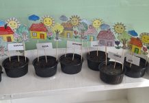 Peste 1800 de copii din cinci județe au participat la EcoSalvatorii, proiectul educațional pe teme de mediu